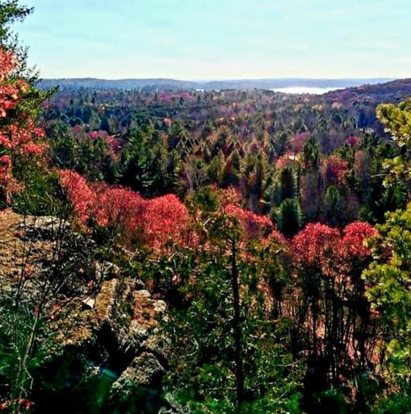 Oakview Lodge & Marina Algonquin Highlands Buitenkant foto