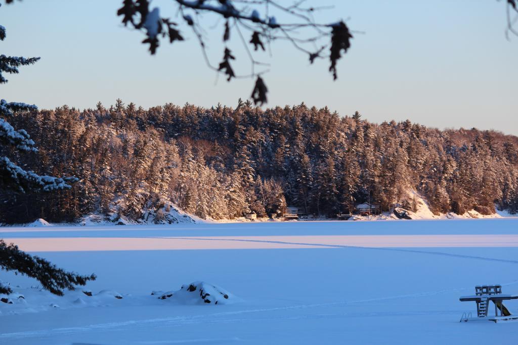 Oakview Lodge & Marina Algonquin Highlands Kamer foto