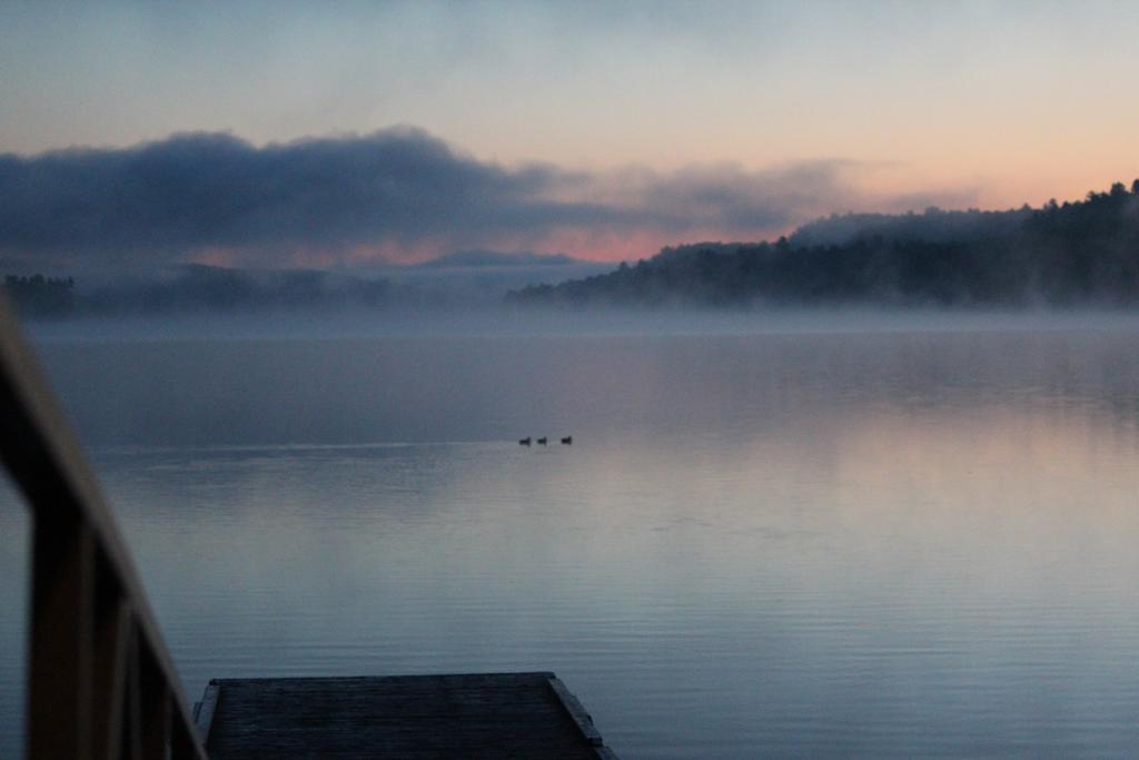 Oakview Lodge & Marina Algonquin Highlands Buitenkant foto